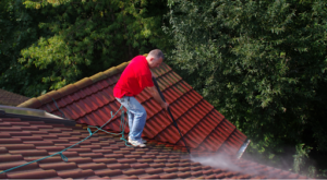 a man cleaning a roof